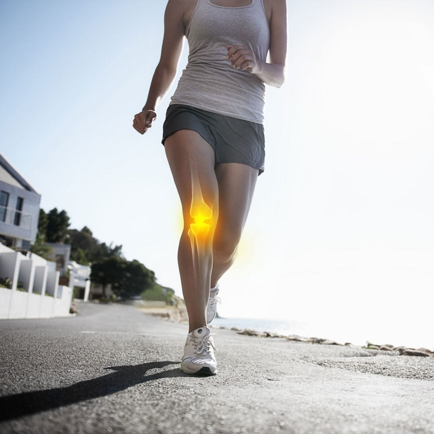 X-CHANGE VOL 18. AN IN-DEPTH LOOK AT THE ROLE OF NUTRITION IN ATHLETE BONE HEALTH