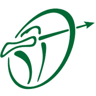 Nottingham Rugby